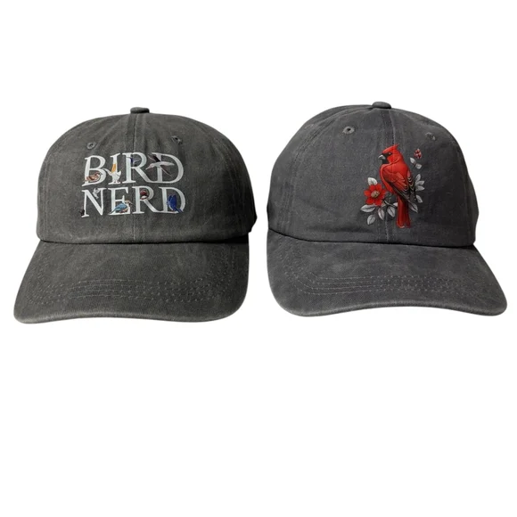 Gray Stone Washed Bird Nerd| Cardinal Cap - Picture 1 of 4